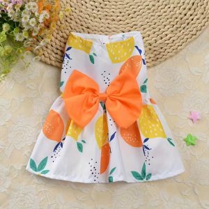 Citrus Print Bow Dog Dress – Size X-Large