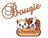 Bougie Pet Shop